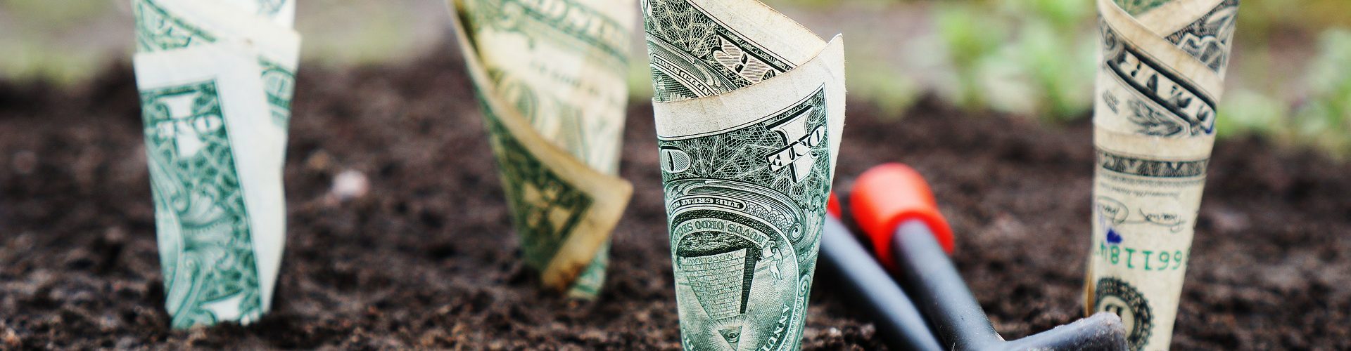 Obtener ayudas emprendedores e I+D